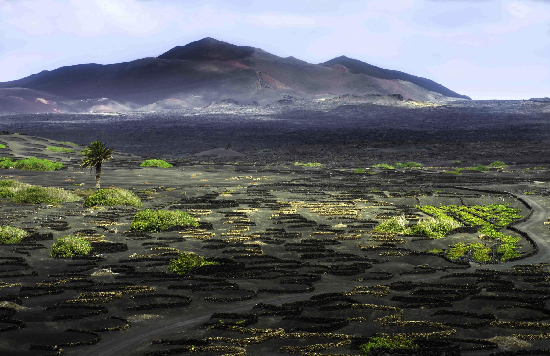 ruta bodegas lanzarote